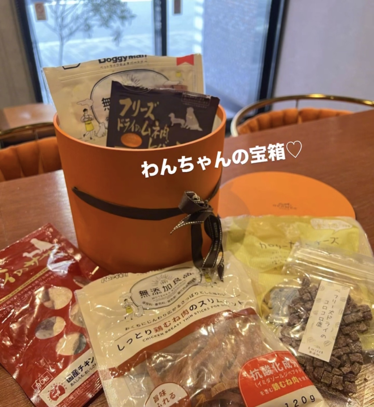 黒のおそろいコーデで来店した2頭のトイプードル